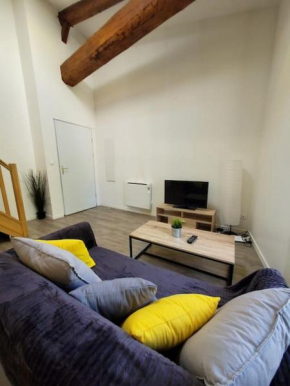 Superbe appartement rénové - Lyon-Groupama stadium